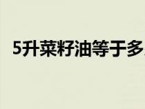 5升菜籽油等于多少斤（5升油等于多少斤）