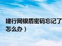 建行网银盾密码忘记了怎么办对公（建行网银盾密码忘记了怎么办）