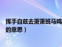 挥手自兹去萧萧班马鸣的意思意思（挥手自兹去萧萧班马鸣的意思）