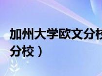 加州大学欧文分校国内认可度（加州大学欧文分校）