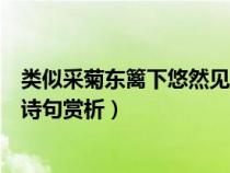 类似采菊东篱下悠然见南山的诗句（采菊东篱下悠然见南山诗句赏析）