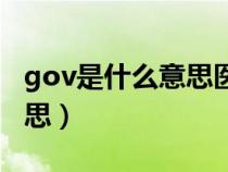 gov是什么意思医学上叫什么（gov是什么意思）