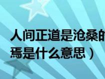 人间正道是沧桑的意思（其兴也勃焉其亡也忽焉是什么意思）