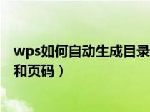 wps如何自动生成目录和页码格式（wps如何自动生成目录和页码）