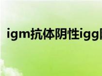 igm抗体阴性igg阳性什么意思（igm抗体）