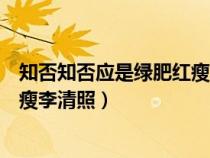 知否知否应是绿肥红瘦李清照如梦令（知否知否应是绿肥红瘦李清照）