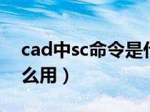 cad中sc命令是什么意思（CAD里SC命令怎么用）