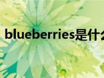 blueberries是什么意思（blue是什么意思）