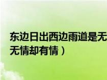 东边日出西边雨道是无情却有情意思（东边日出西边雨道是无情却有情）