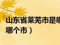 山东省莱芜市是哪个市管辖（山东省莱芜市是哪个市）