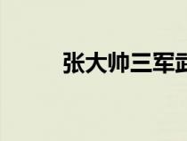 张大帅三军武术总教头（张大帅）