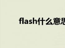 flash什么意思啊（flash什么意思）