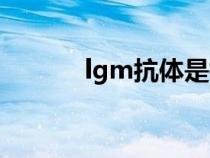 lgm抗体是指什么（lgm抗体）