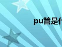 pu管是什么材质（pu管）