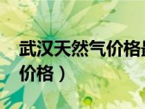 武汉天然气价格最新价格2024（武汉天然气价格）