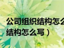 公司组织结构怎么写江苏恒瑞医药（公司组织结构怎么写）