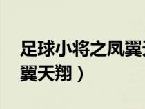 足球小将之凤翼天翔 在北方（足球小将之凤翼天翔）