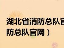 湖北省消防总队官网政府采购网站（湖北省消防总队官网）