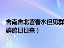 舍南舍北皆春水但见群鸥日日来修辞（舍南舍北皆春水但见群鸥日日来）