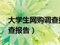 大学生网购调查报告5000字（大学生网购调查报告）