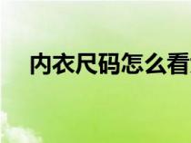 内衣尺码怎么看大小（内衣尺码怎么看）