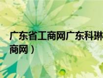 广东省工商网广东科琳电气设备有限公司董事长（广东省工商网）