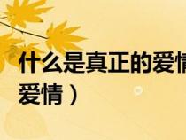 什么是真正的爱情道德与法治（什么是真正的爱情）