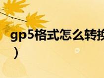 gp5格式怎么转换（请问GP5格式的怎么打开）