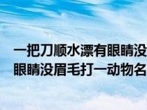 一把刀顺水漂有眼睛没眉毛打一动物名名（一把刀顺水漂有眼睛没眉毛打一动物名）