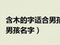 含木的字适合男孩名字有哪些（含木的字适合男孩名字）