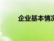 企业基本情况表（企业基本情况）