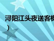 浔阳江头夜送客枫叶荻花秋瑟瑟全诗（浔阳江）