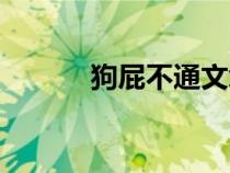 狗屁不通文章生成官网（狗屁）