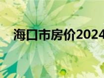 海口市房价2024最新价格（海口市房价）