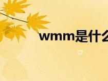 wmm是什么车（wmm是什么）