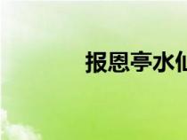 报恩亭水仙扮演者（报恩亭）