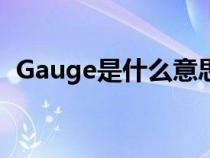 Gauge是什么意思啊（gauge是什么意思）