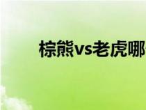 棕熊vs老虎哪个厉害（棕熊vs老虎）