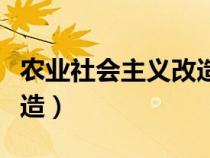 农业社会主义改造教学视频（农业社会主义改造）