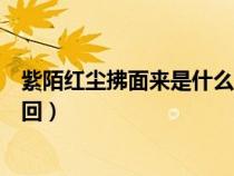 紫陌红尘拂面来是什么意思（紫陌红尘拂面来无人不道看花回）