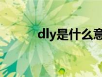 dly是什么意思（dl是什么意思）