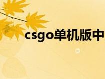 csgo单机版中文版下载（csgo单机）