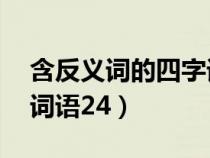 含反义词的四字词语24个（含反义词的四字词语24）