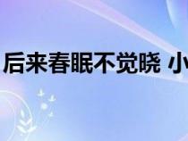 后来春眠不觉晓 小说梅吉（后来春眠不觉晓）