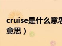 cruise是什么意思车上的功能（cruise是什么意思）