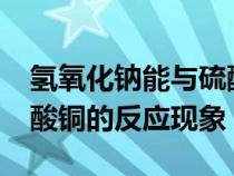 氢氧化钠能与硫酸铜反应吗?（氢氧化钠与硫酸铜的反应现象）