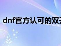 dnf官方认可的双开器（dnf双开工具2020）