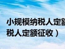 小规模纳税人定额征收是什么意思（小规模纳税人定额征收）