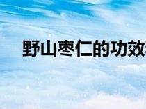 野山枣仁的功效和作用及禁忌（野山枣）