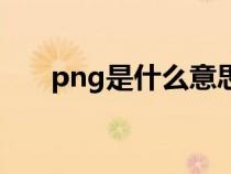 png是什么意思啊（png是什么意思）